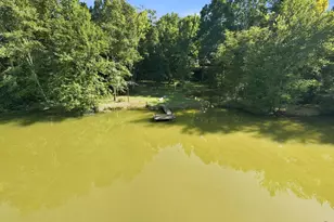 1116 County Line Rd, Elko, GA 31091 - Photo 56