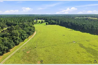 1116 County Line Road, Elko, GA 31091 - Photo 2