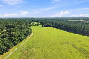 1116 County Line Rd, Elko, GA 31091 - Photo 2