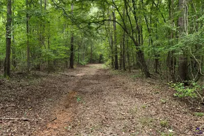 1116 County Line Road, Elko, GA 31091 - Photo 48