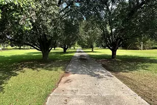 384 4 Points Rd, Jackson, GA 30501 - Photo 6