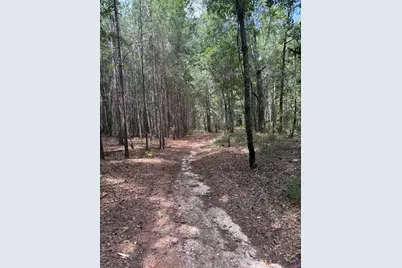 124 N County Line Road, Elko, GA 31091 - Photo 38