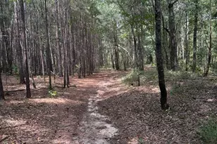 124 N County Line Rd, Elko, GA 31091 - Photo 38