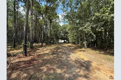124 N County Line Road, Elko, GA 31091 - Photo 48