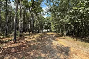 124 N County Line Rd, Elko, GA 31091 - Photo 48