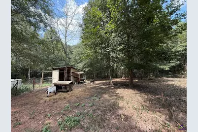 124 N County Line Road, Elko, GA 31091 - Photo 44