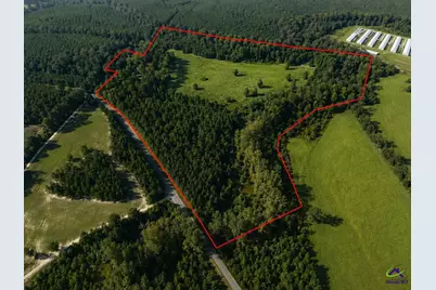 150 Friendship Church Road, Hawkinsville, GA 31036 - Photo 2