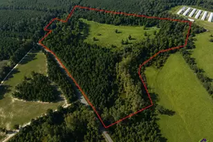 150 Friendship Church Rd, Hawkinsville, GA 31036 - Photo 2