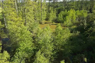 150 Friendship Church Rd, Hawkinsville, GA 31036 - Photo 24