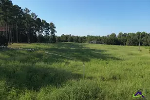 150 Friendship Church Rd, Hawkinsville, GA 31036 - Photo 26