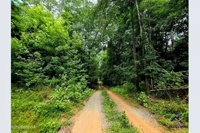 0 Highway 42 S, Forsyth, GA 31029 - Photo 2