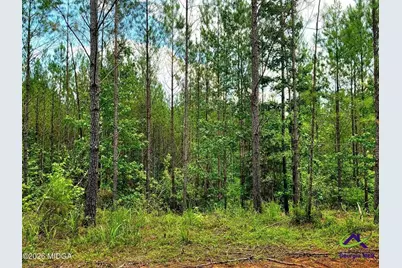 0 Highway 42 S, Forsyth, GA 31029 - Photo 4