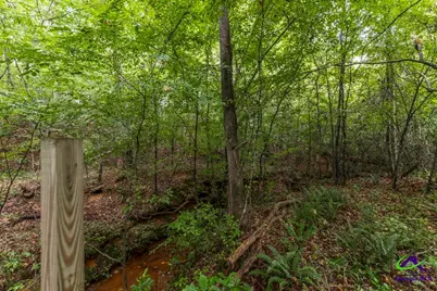 222 Tommys Trail, Forsyth, GA 31029 - Photo 36