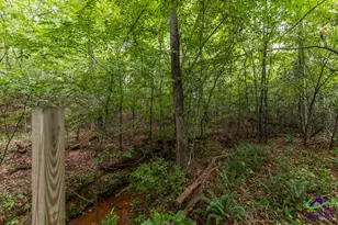 222 Tommys Trail, Forsyth, GA 31029 - Photo 36