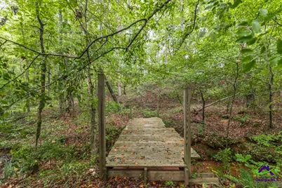 222 Tommys Trail, Forsyth, GA 31029 - Photo 34