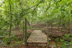 222 Tommys Trail, Forsyth, GA 31029 - Photo 34