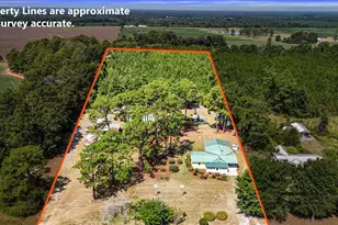 5605 N Hwy 33, Arabi, GA 31712 - Photo 56