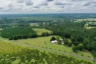 160 Underwood Rd, Reynolds, GA 31076 - Photo 54
