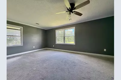 181 Aultman Road, Fort Valley, GA 31030 - Photo 12