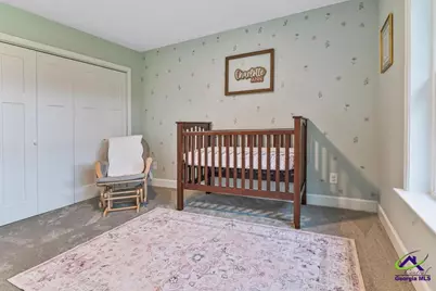432 Scott Ext Road, Elko, GA 31025 - Photo 24