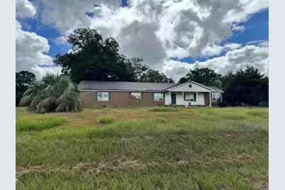 319 Abbeville Highway, Hawkinsville, GA 31036 - Photo 1