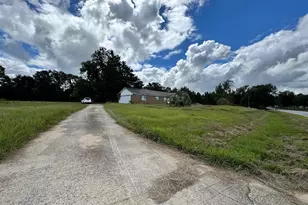 319 Abbeville Hwy, Hawkinsville, GA 31036 - Photo 4
