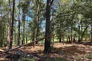 1172 Horne Rd, Eastman, GA 31023 - Photo 28