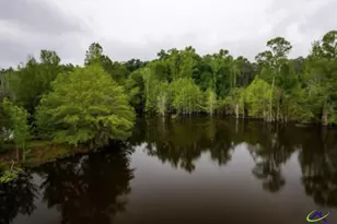 575 Holland Rd, Fort Valley, GA 31030 - Photo 28