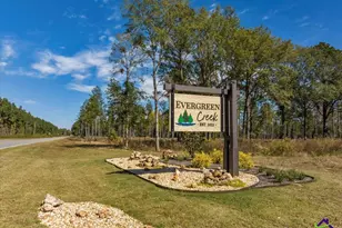 1 Longstreet Rd, Cochran, GA 31014 - Photo 1