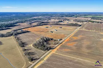 Lot 15 Elko (4.12+/- Acres) Road, Elko, GA 31025 - Photo 4