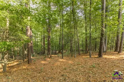 2203 Plantation, Macon, GA 31211 - Photo 36