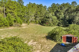 319 Pope Rd, Roberta, GA 31078 - Photo 60