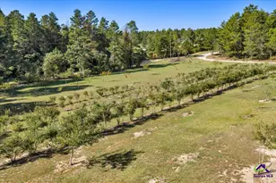 319 Pope Rd, Roberta, GA 31078 - Photo 78