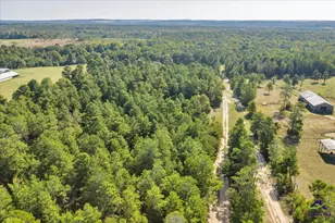 319 Pope Rd, Roberta, GA 31078 - Photo 42