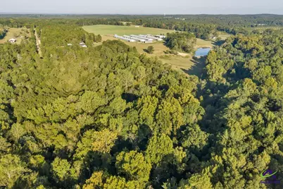 319 Pope Road, Roberta, GA 31078 - Photo 48