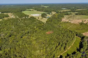 319 Pope Rd, Roberta, GA 31078 - Photo 74