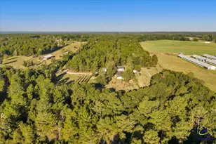 319 Pope Rd, Roberta, GA 31078 - Photo 50