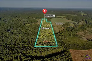 319 Pope Rd, Roberta, GA 31078 - Photo 90