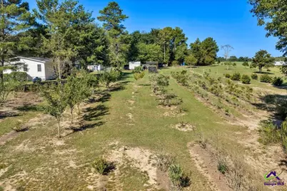 319 Pope Road, Roberta, GA 31078 - Photo 76