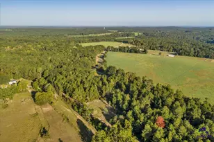 319 Pope Rd, Roberta, GA 31078 - Photo 52