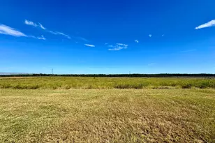 131 Griffin Rd, Hawkinsville, GA 31036 - Photo 10