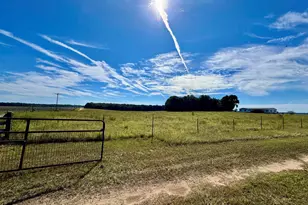 131 Griffin Rd, Hawkinsville, GA 31036 - Photo 6