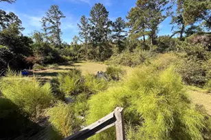 101 Shady Ln Rd, Mcrae, GA 31037 - Photo 26