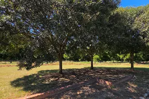 1455 Columbus Hwy, Hawkinsville, GA 31036 - Photo 16