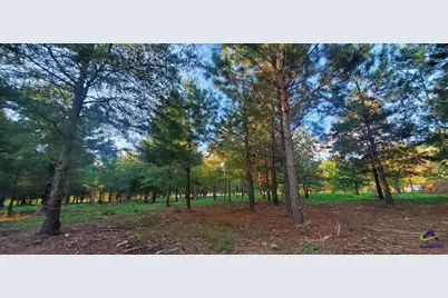 00 N County Line Road, Elko, GA 31025 - Photo 4