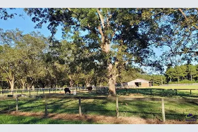 00 N County Line Road, Elko, GA 31025 - Photo 14