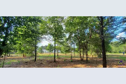 00 N County Line Road, Elko, GA 31025 - Photo 12