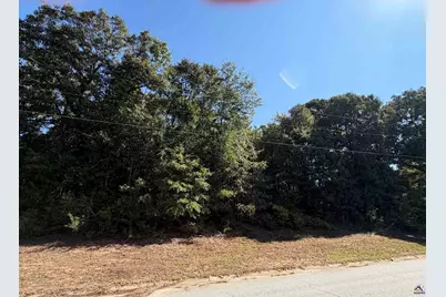 100 Dogwood Glen Drive, Centerville, GA 31028 - Photo 2