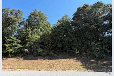 100 Dogwood Glen Drive, Centerville, GA 31028 - Photo 1