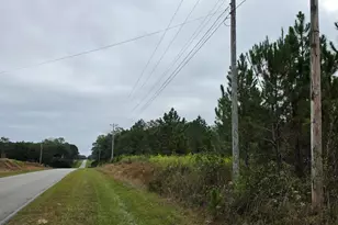0 Benny Sharp Rd, Hawkinsville, GA 31036 - Photo 1